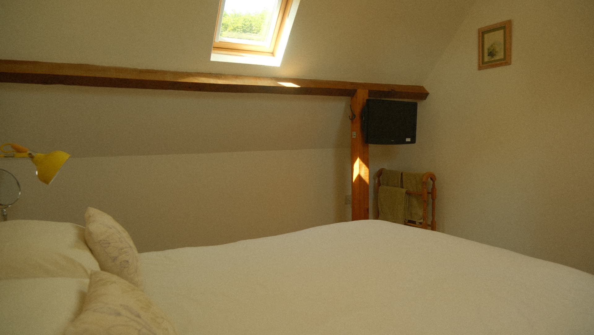 Skylight views and a television in the bedroom